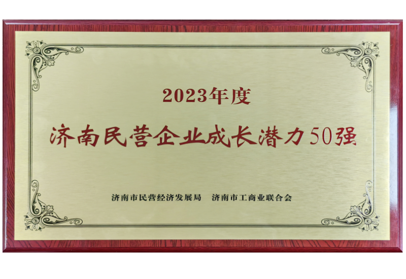 济南市民营企业成长潜力50强