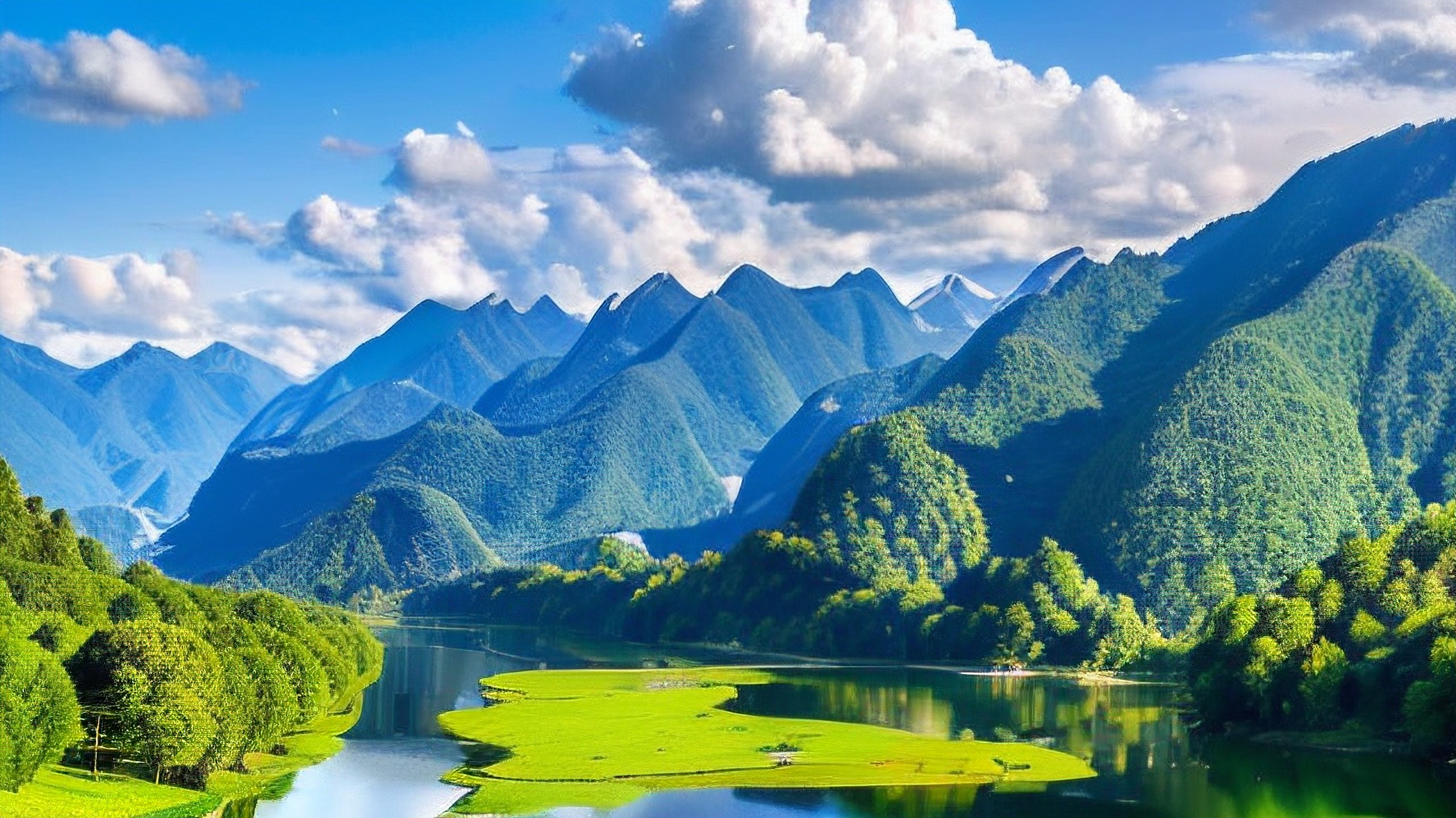 1762998175476232.jpg 1762998175476232.jpg