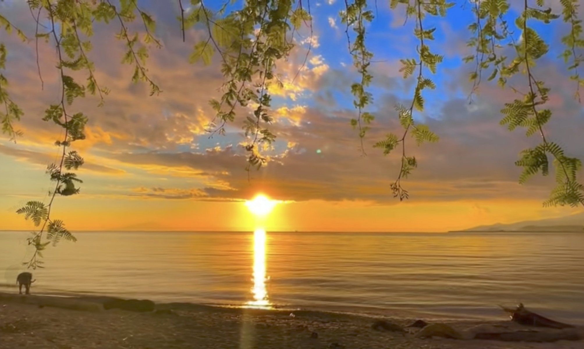 1762998360387329.jpg 1762998360387329.jpg