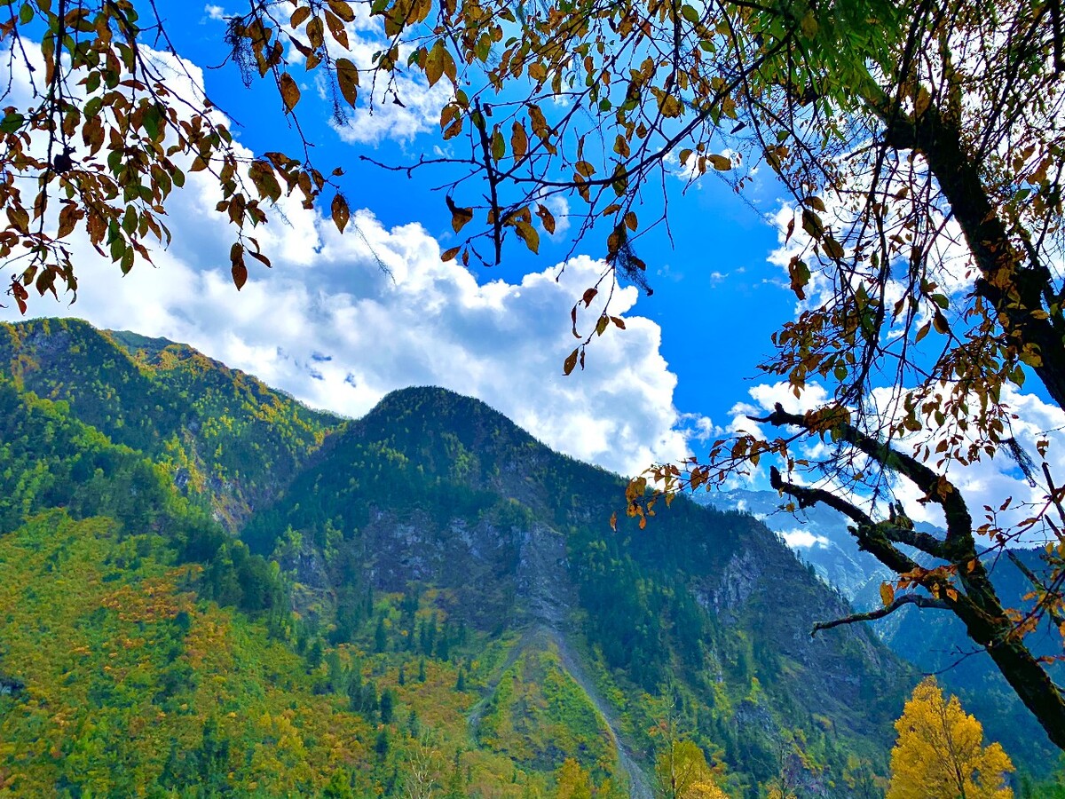 1763000133494865.jpg 1763000133494865.jpg