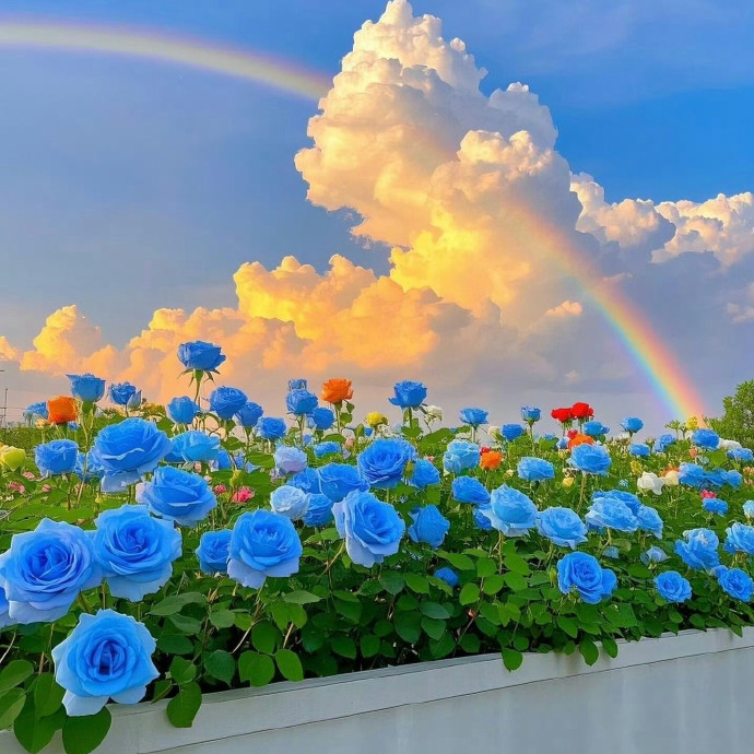 1766122965606489.jpg 00668dNOgy1hzbpzg3u4xj3140140tmx.jpg