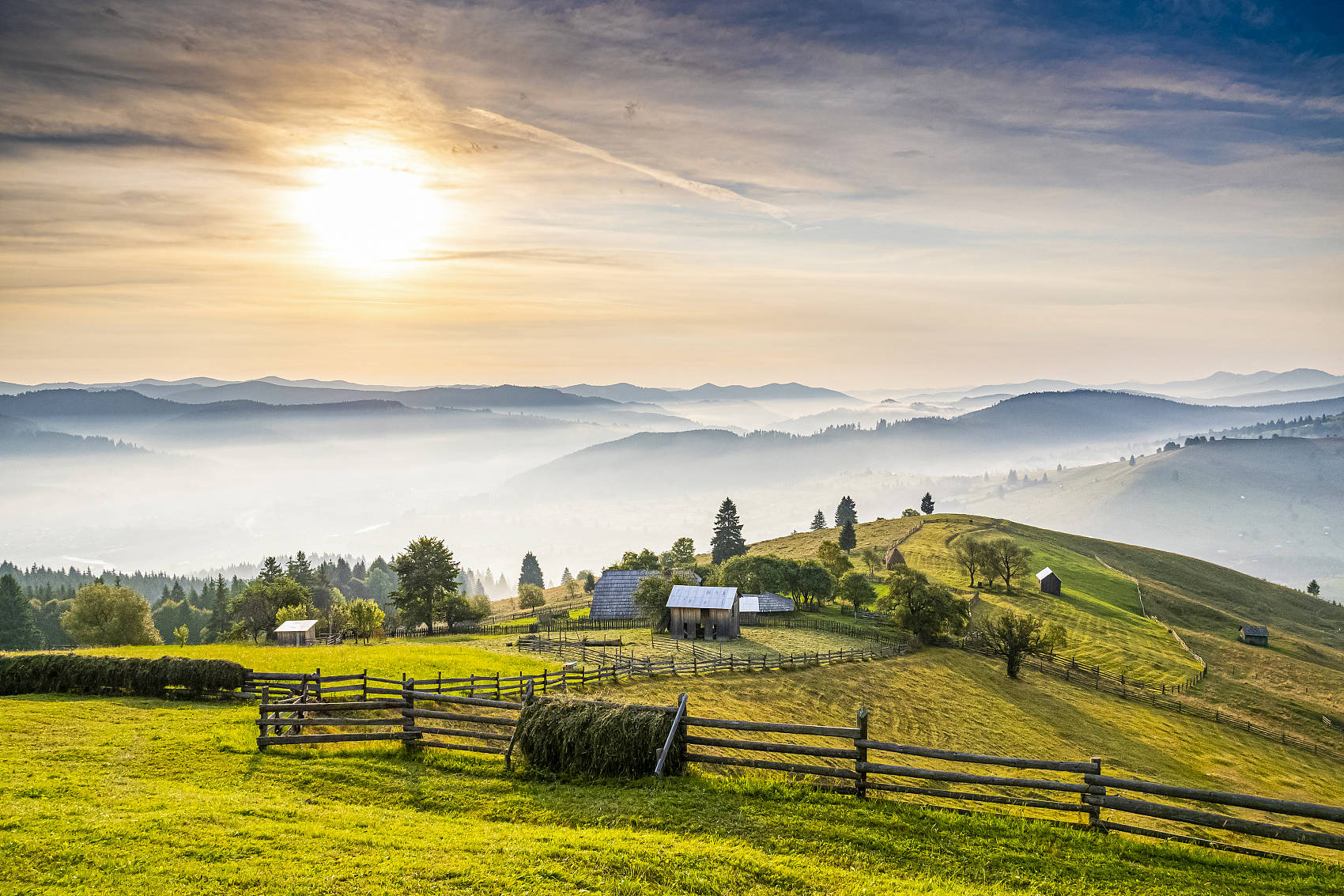 1770690794505967.jpeg 1770690794505967.jpeg