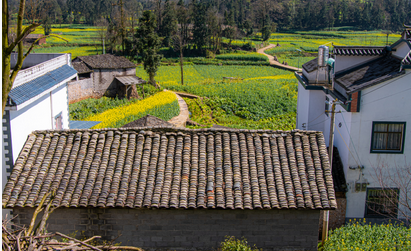 1773046727123165.png 1773046727123165.png