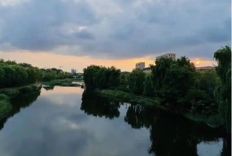 1773046962787481.png 1773046962787481.png